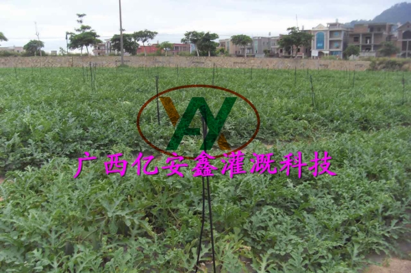 工程案例