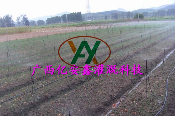 工程案例