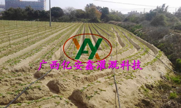 工程案例