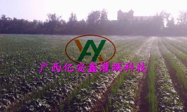 工程案例
