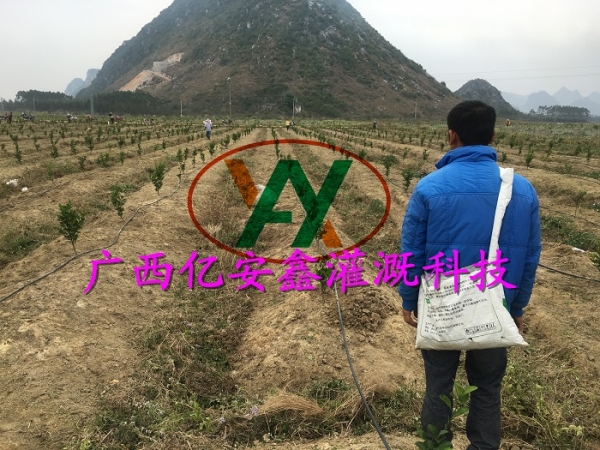 工程案例