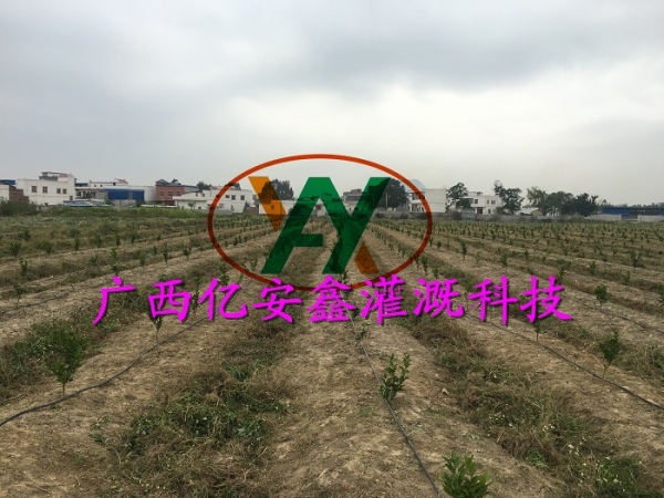 工程案例