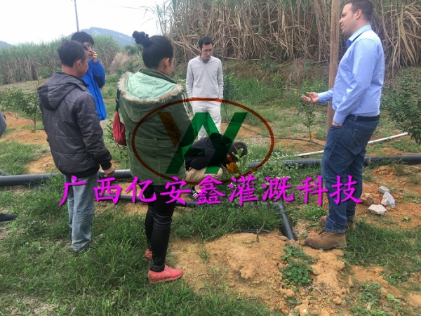 工程案例