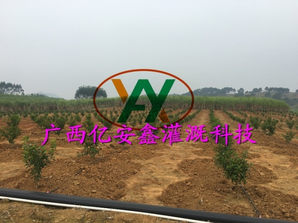 工程案例