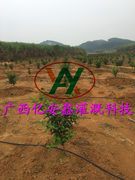 工程案例