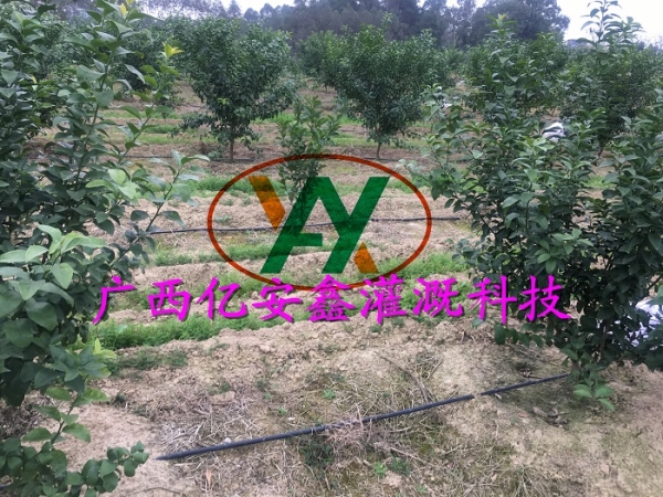 工程案例