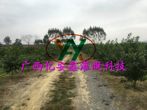 工程案例