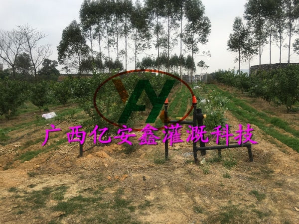 工程案例