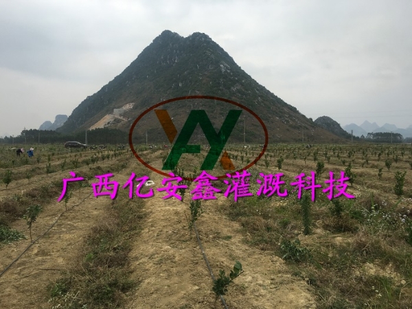 工程案例