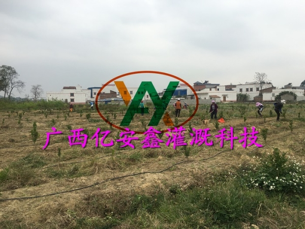 工程案例