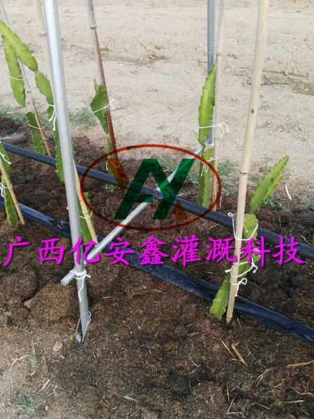 工程案例