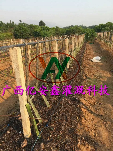 工程案例