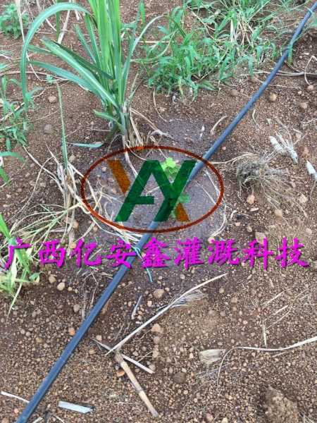 工程案例