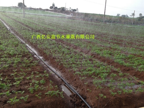 渗灌管