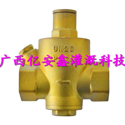 钢螺纹式减压阀